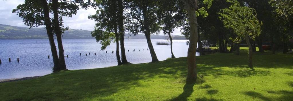 Lakeside Cottage Killaloe Εξωτερικό φωτογραφία